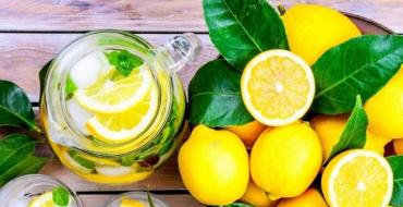 Цедра лимона — польза и вред для здоровья